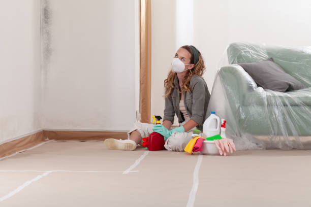 Reliable Crawl Space Mold Remediation contractor in Shiloh, IL by 24 Hour Mold Removal